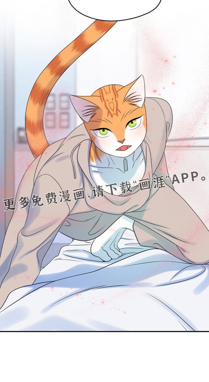第162章：【第三季】现在和未来更重要