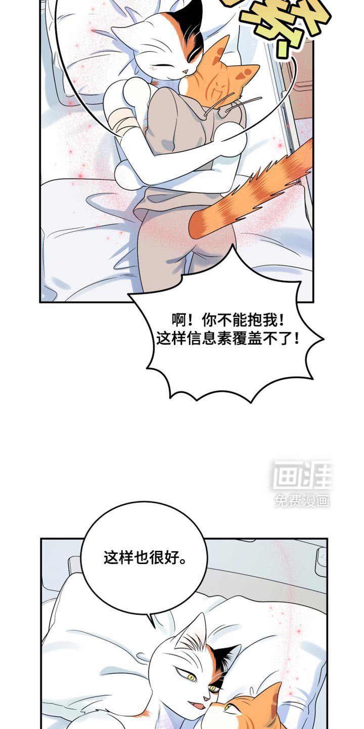 第163章：【第三季】执着