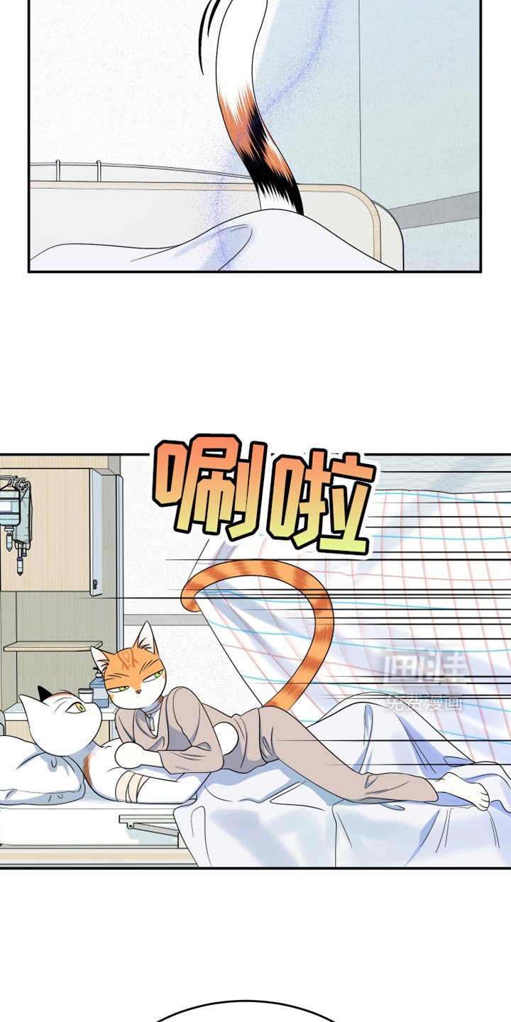 第163章：【第三季】执着