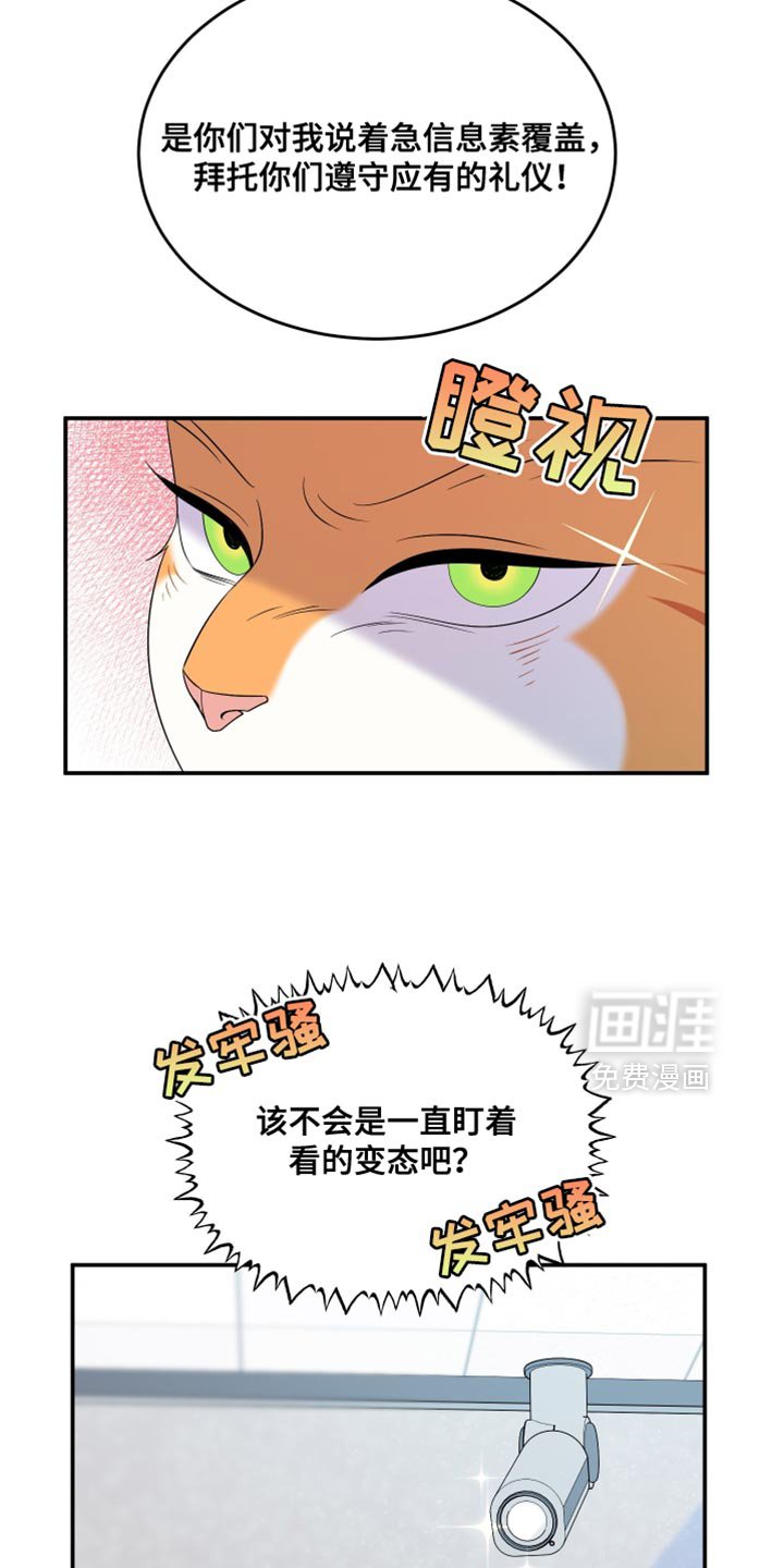 第163章：【第三季】执着