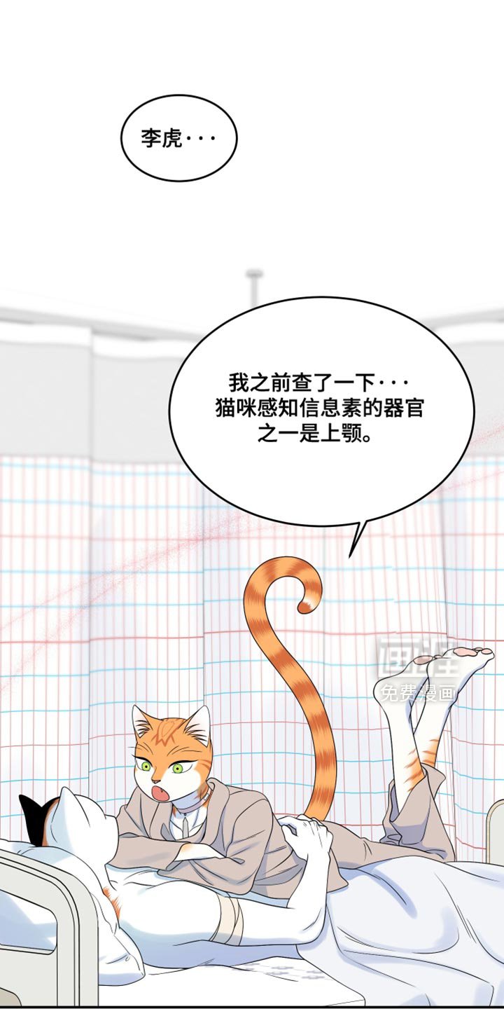 第163章：【第三季】执着