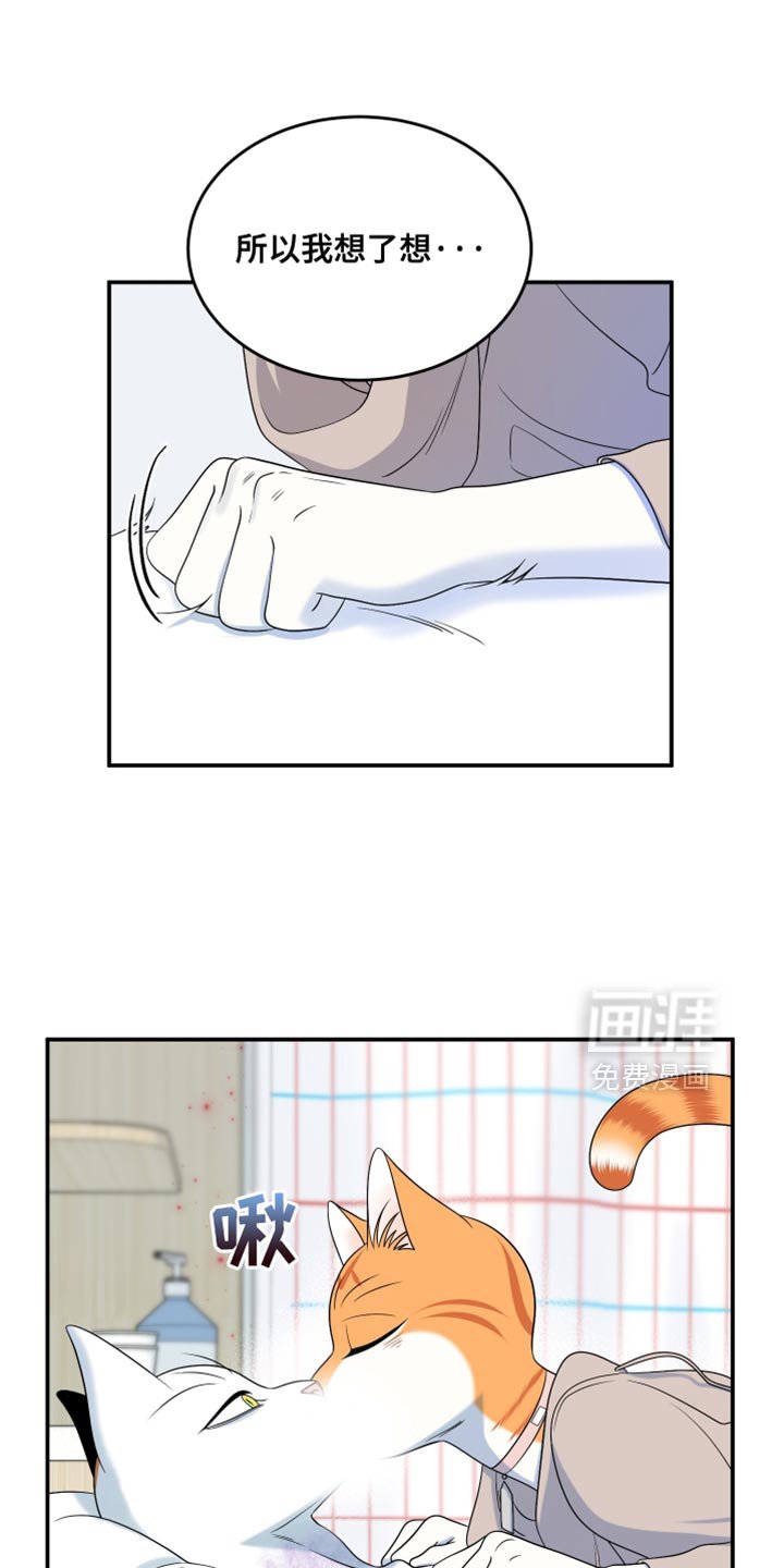 第163章：【第三季】执着