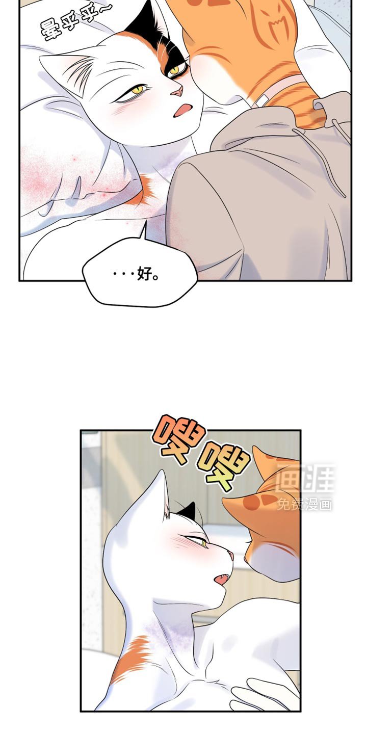 第163章：【第三季】执着