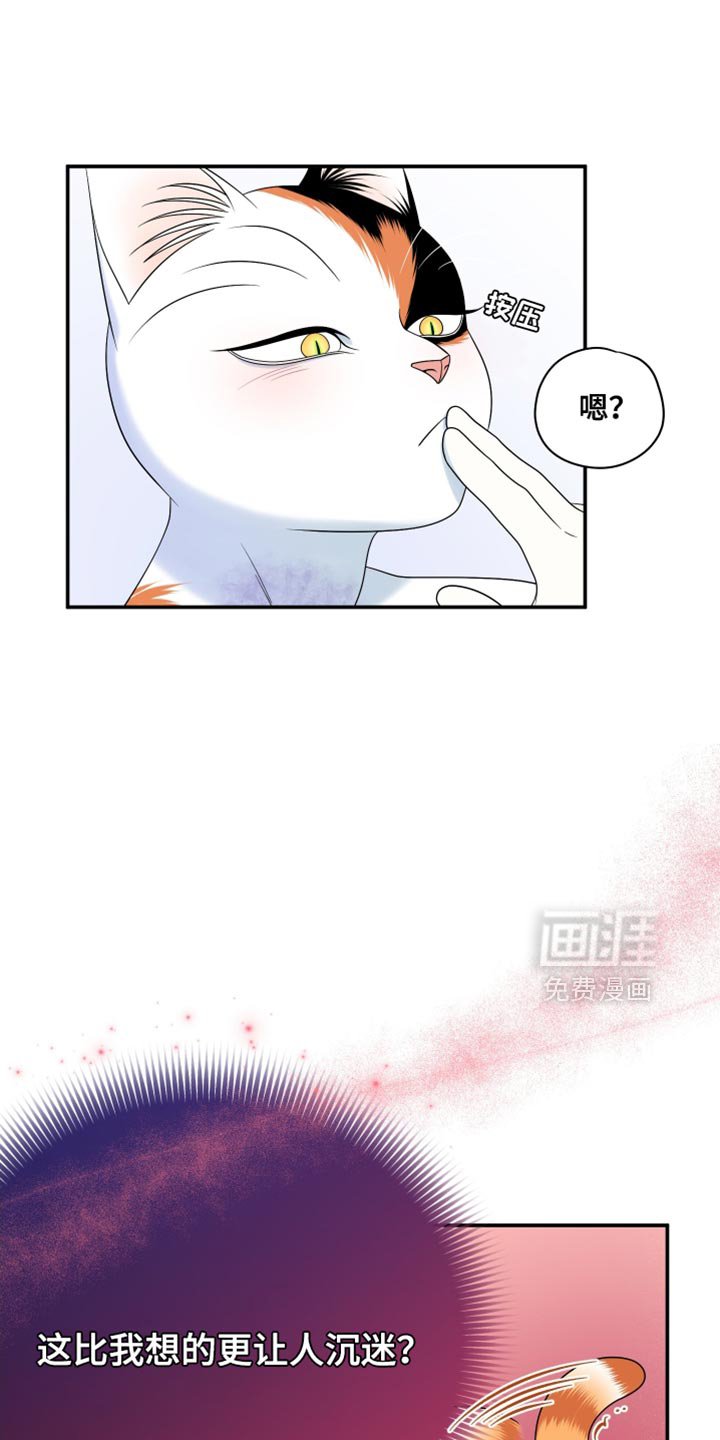 第163章：【第三季】执着