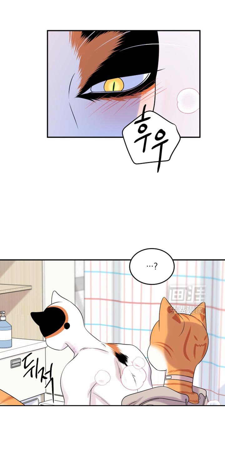 第164章：【第三季】不能勉强（完结）