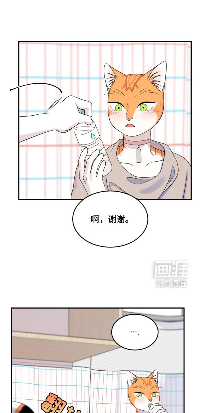第164章：【第三季】不能勉强（完结）