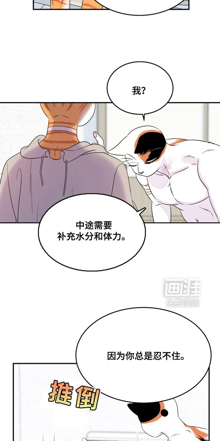 第164章：【第三季】不能勉强（完结）