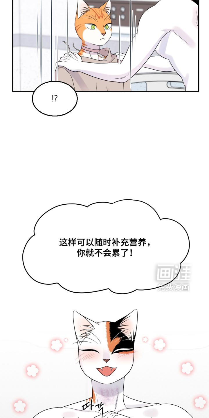 第164章：【第三季】不能勉强（完结）