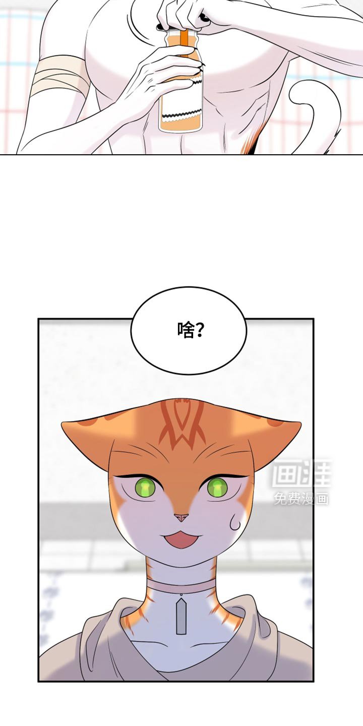 第164章：【第三季】不能勉强（完结）