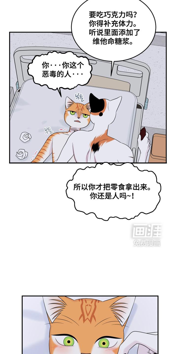 第164章：【第三季】不能勉强（完结）