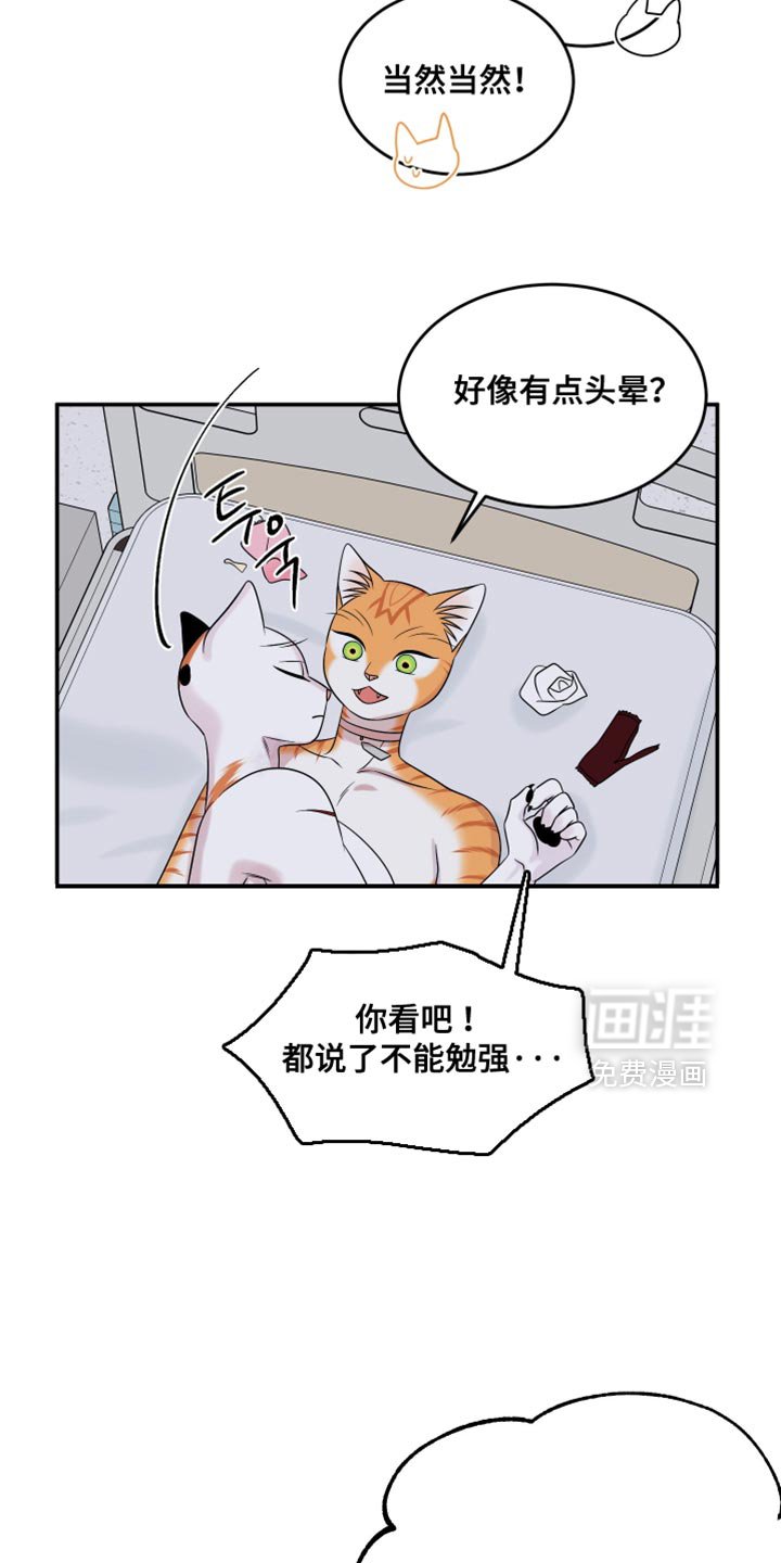 第164章：【第三季】不能勉强（完结）