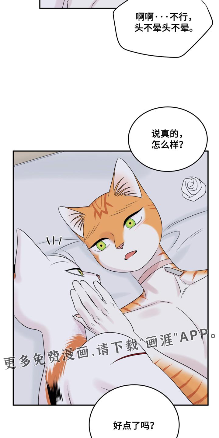 第164章：【第三季】不能勉强（完结）
