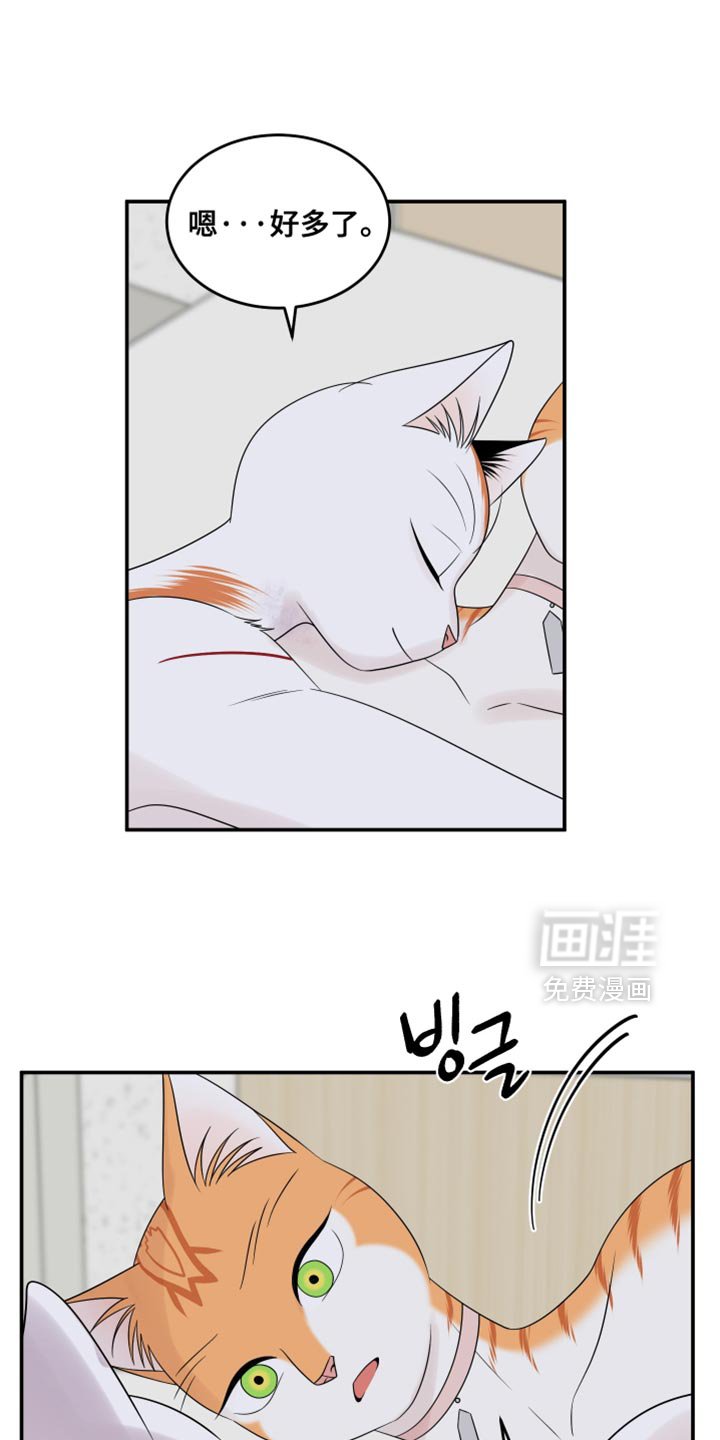 第165章：【第四季】你不适合黑色