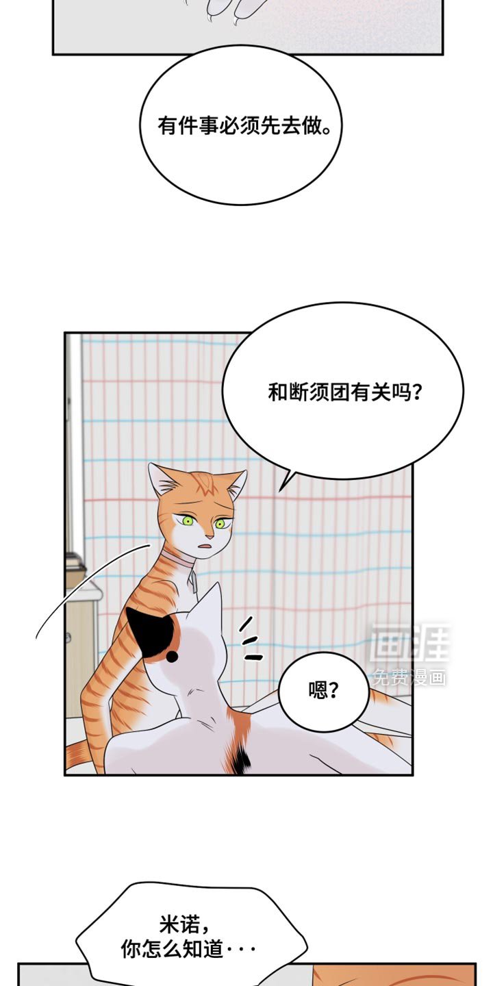 第165章：【第四季】你不适合黑色