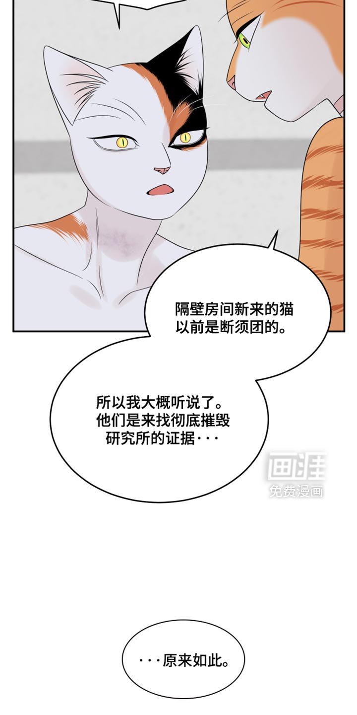 第165章：【第四季】你不适合黑色