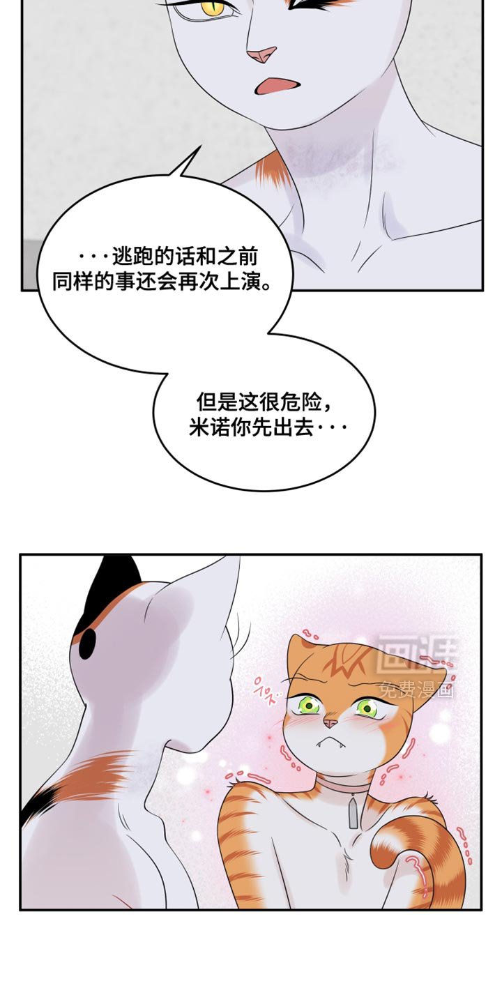 第165章：【第四季】你不适合黑色