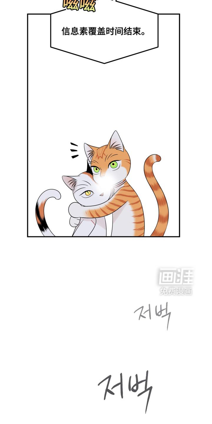 第165章：【第四季】你不适合黑色