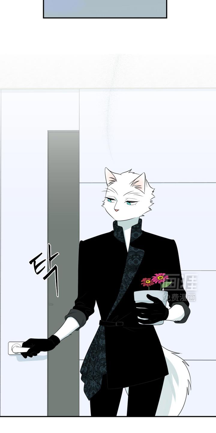 第165章：【第四季】你不适合黑色