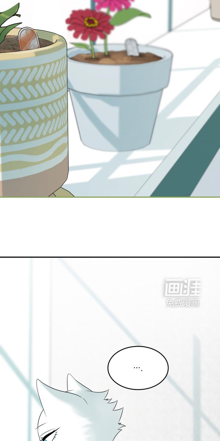 第165章：【第四季】你不适合黑色