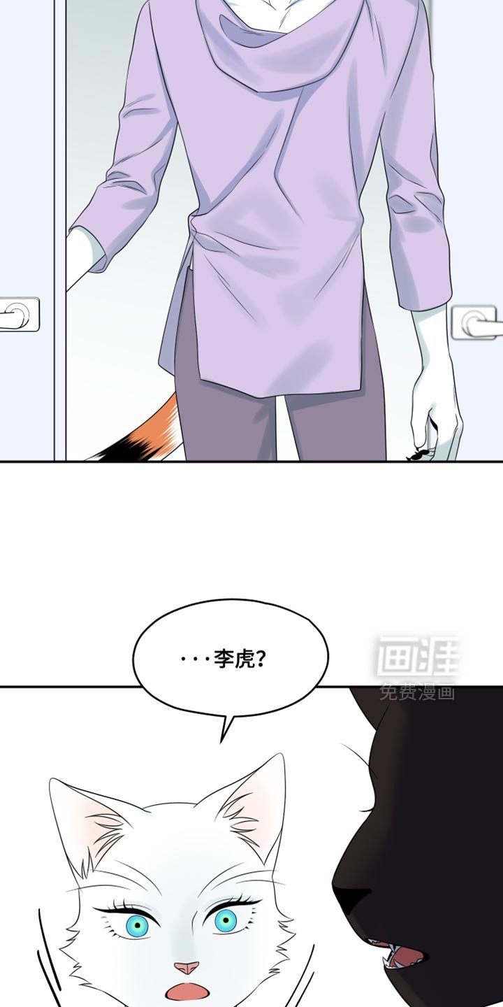 第166章：【第四季】真的是你