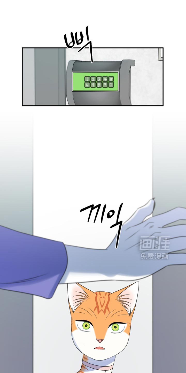 第166章：【第四季】真的是你