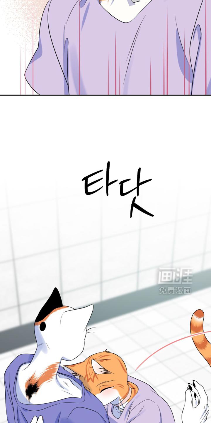 第166章：【第四季】真的是你