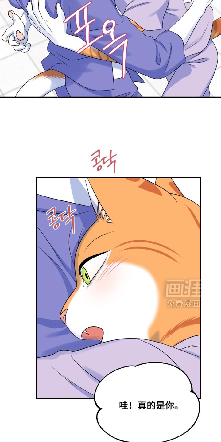 第166章：【第四季】真的是你