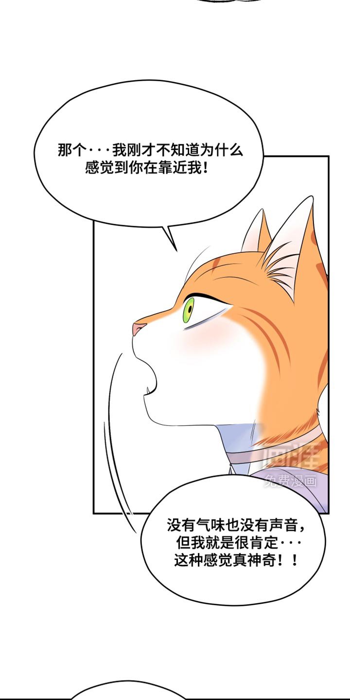 第166章：【第四季】真的是你