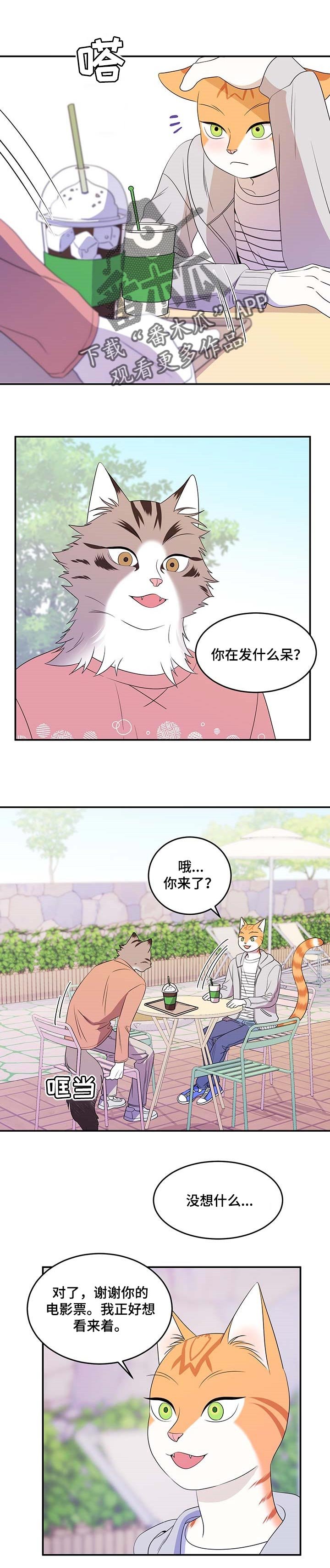 第17章：芳香剂