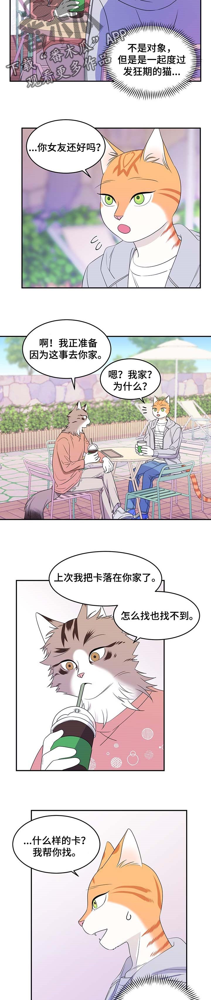 第17章：芳香剂