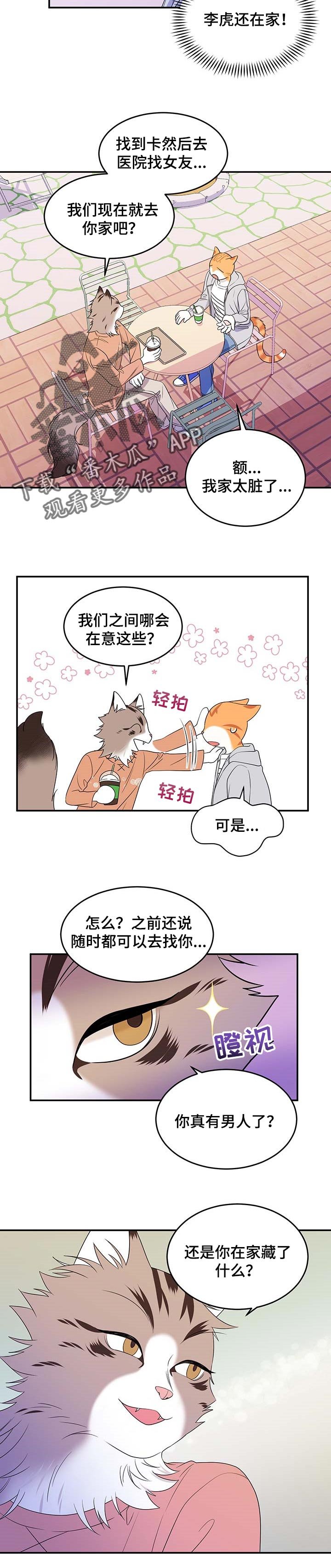 第17章：芳香剂