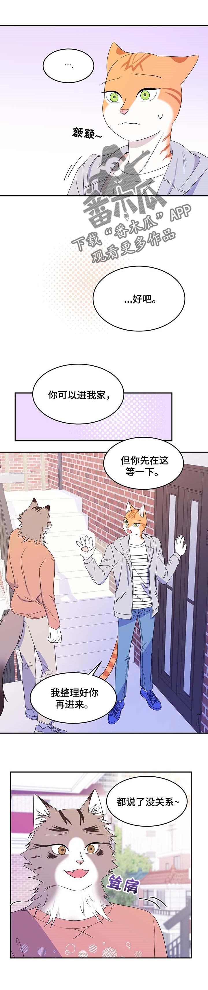 第17章：芳香剂