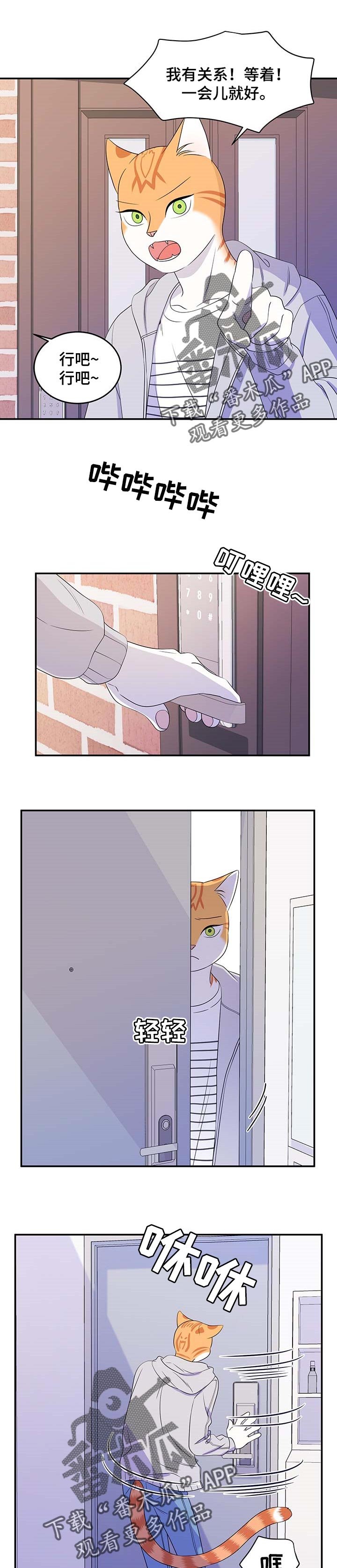 第17章：芳香剂