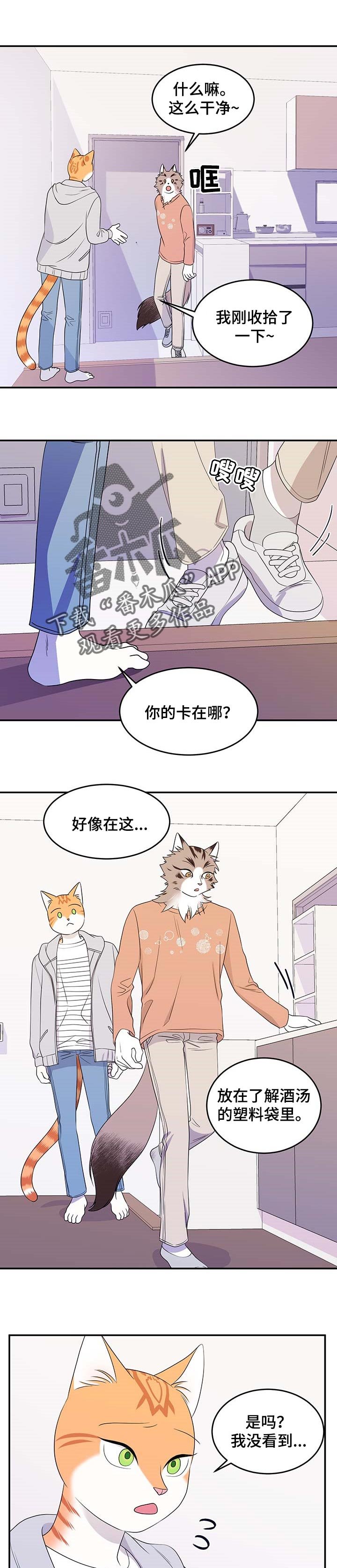 第17章：芳香剂