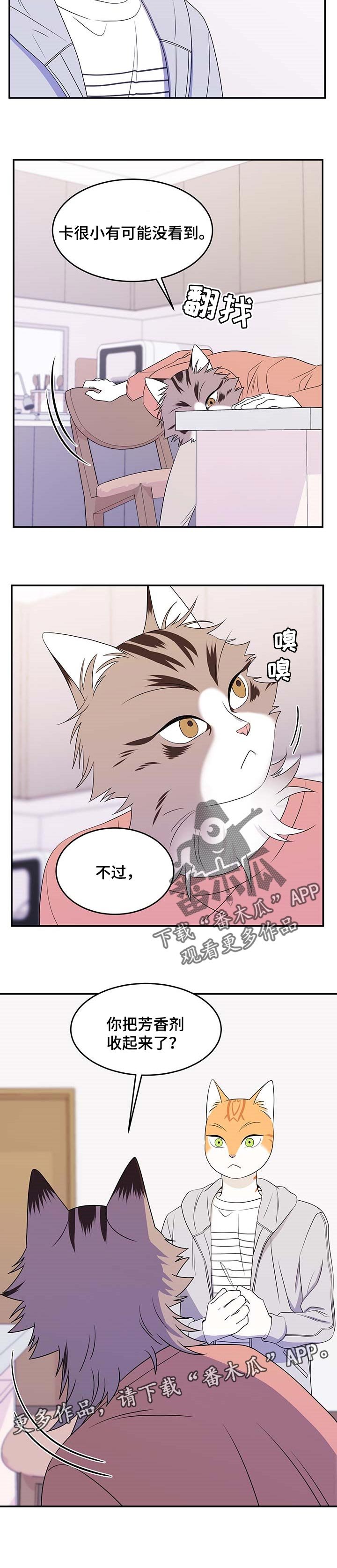 第17章：芳香剂