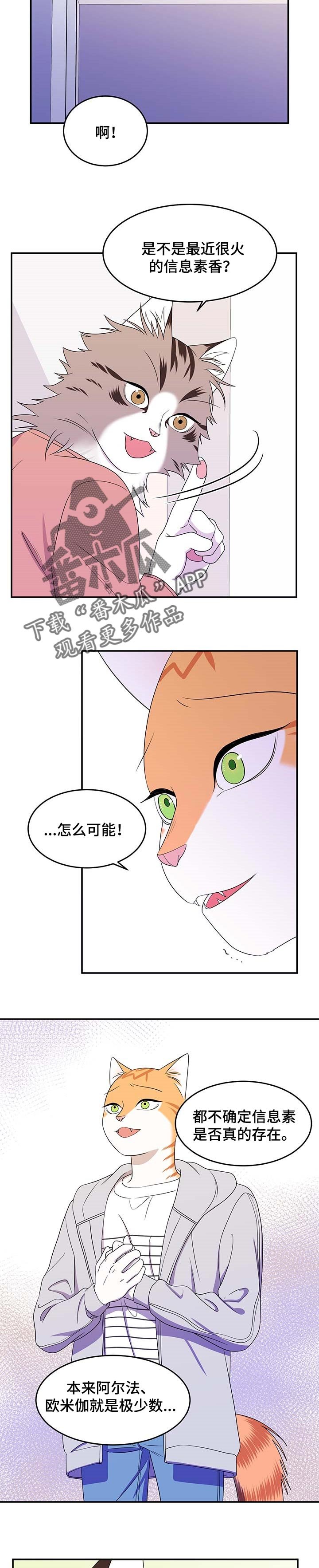 第18章：信息素