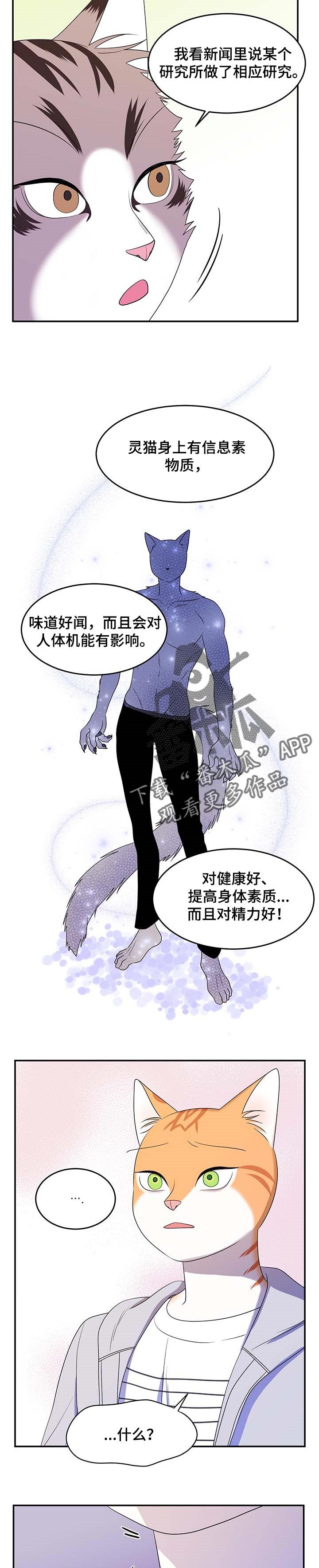 第18章：信息素