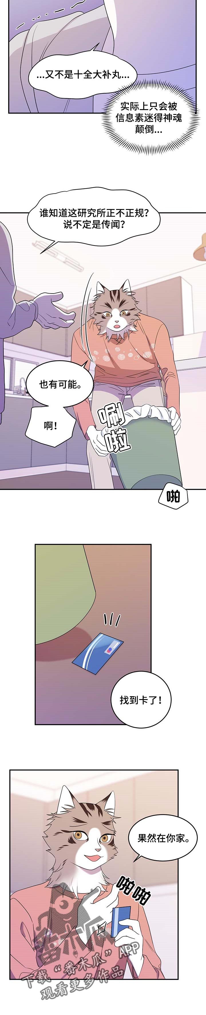 第18章：信息素