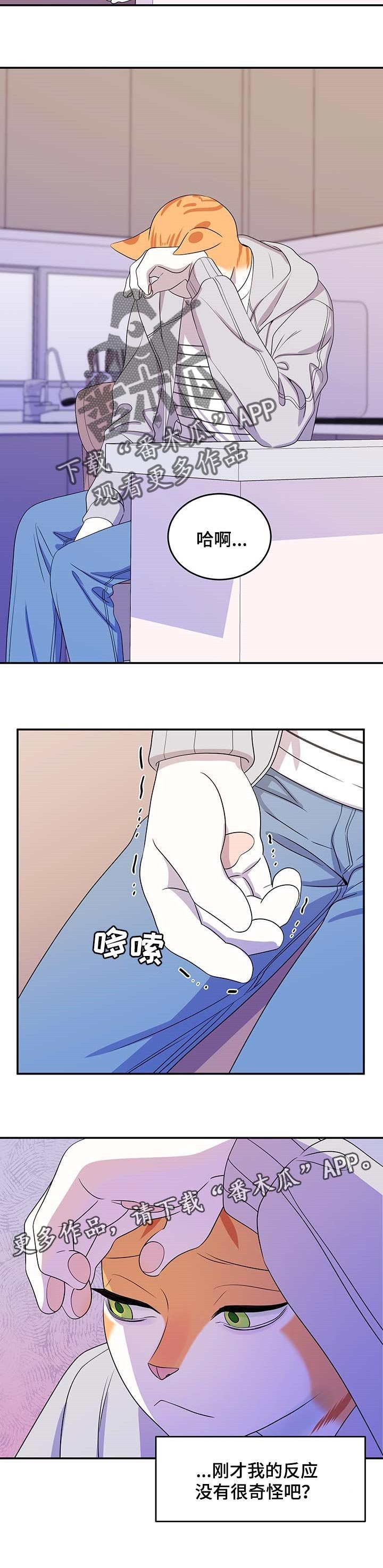 第18章：信息素