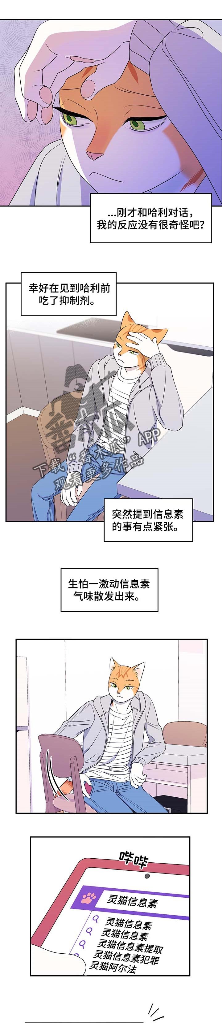 第19章：紧张