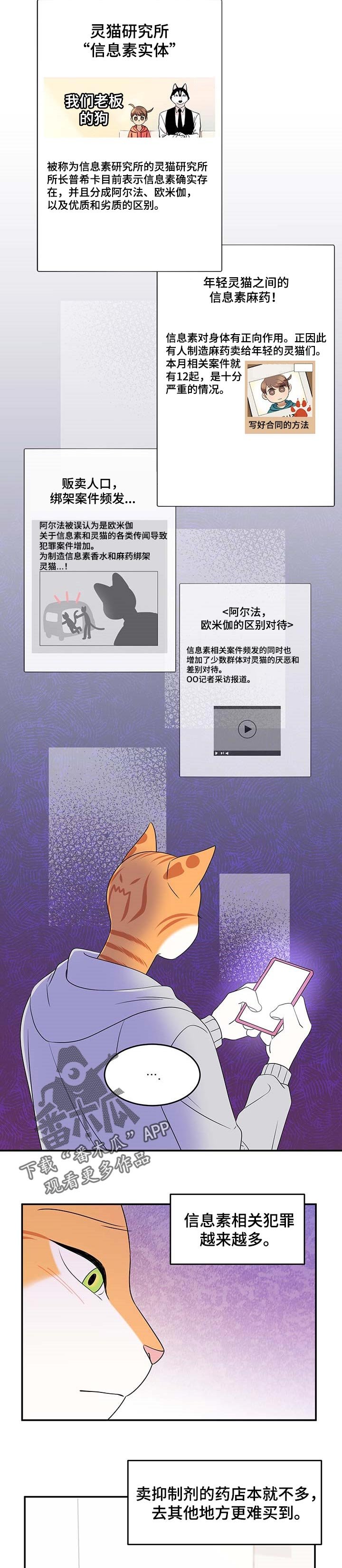 第19章：紧张