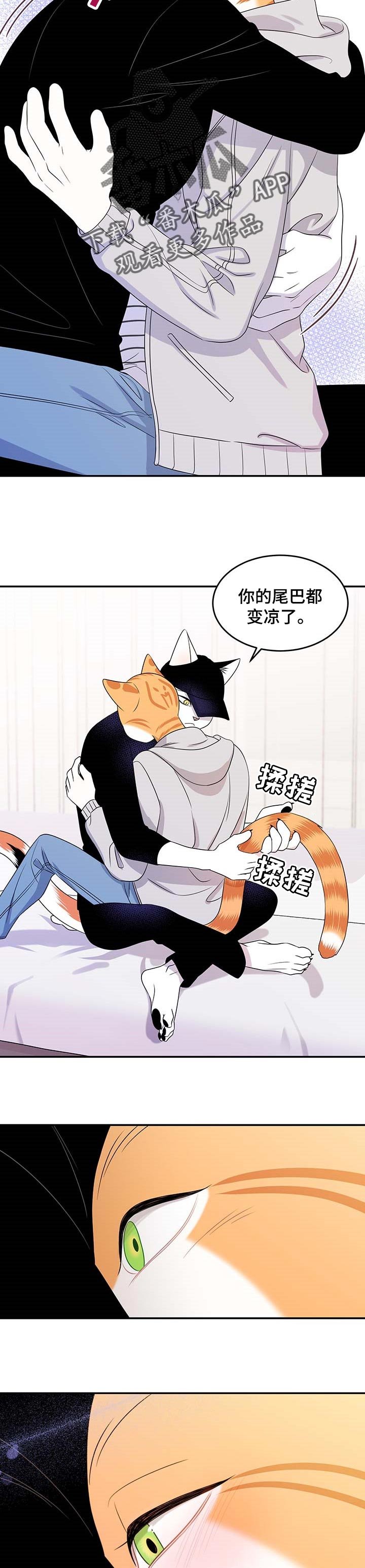 第20章：安心
