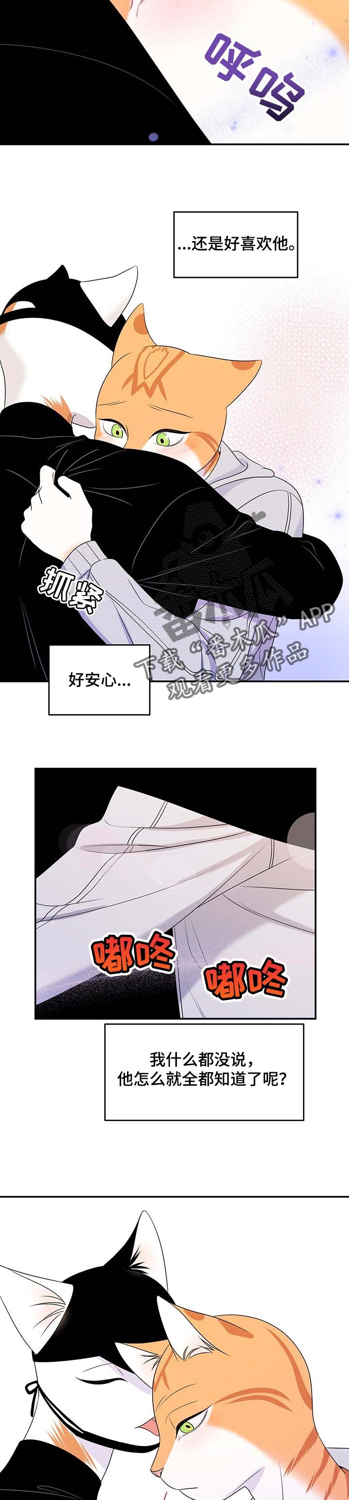 第20章：安心