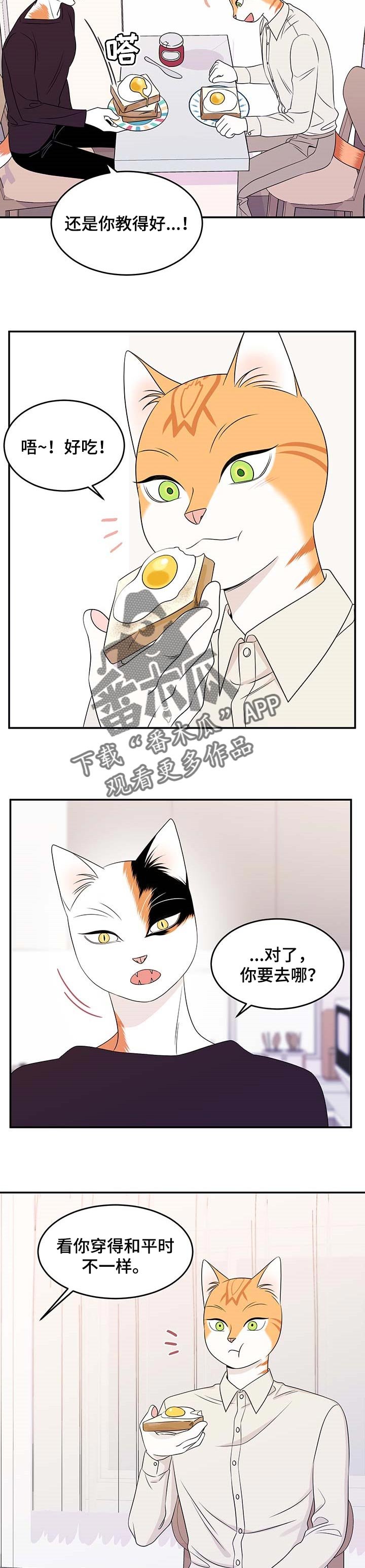第20章：安心