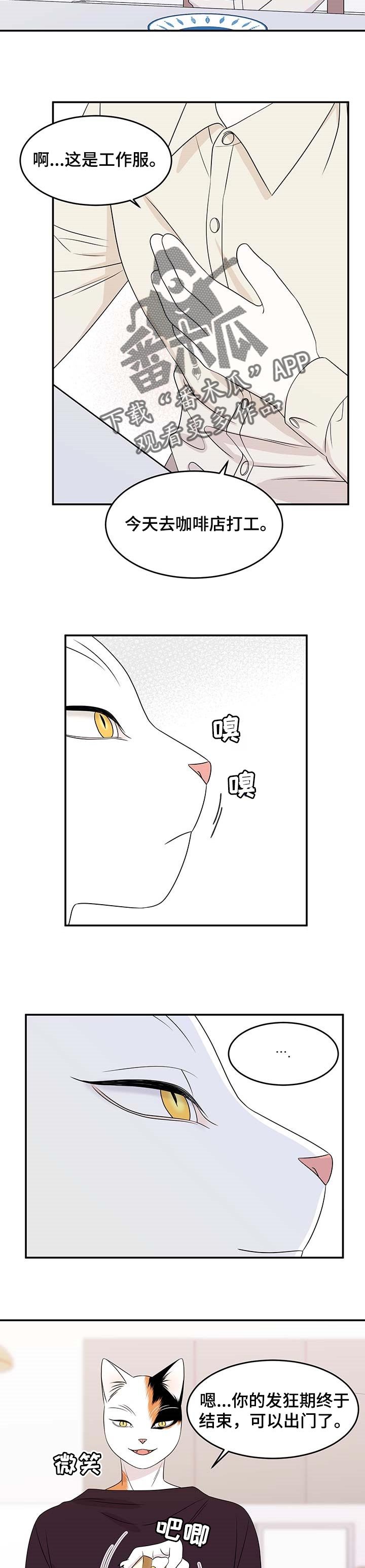 第20章：安心