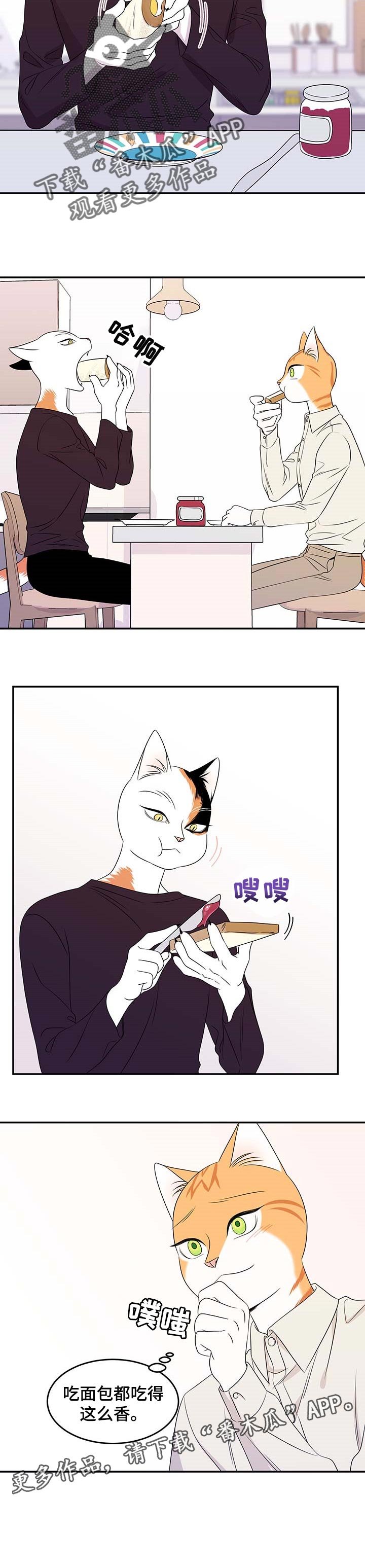 第20章：安心