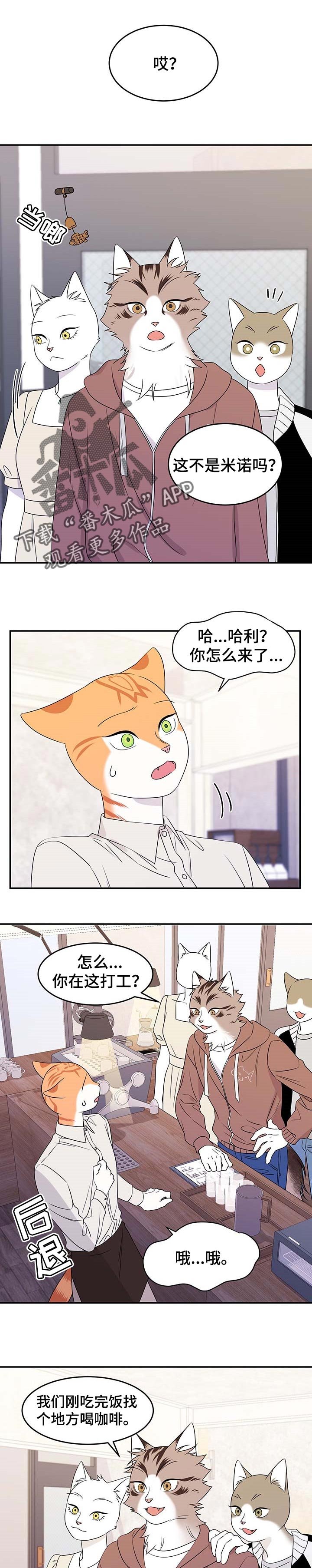 第22章：担心
