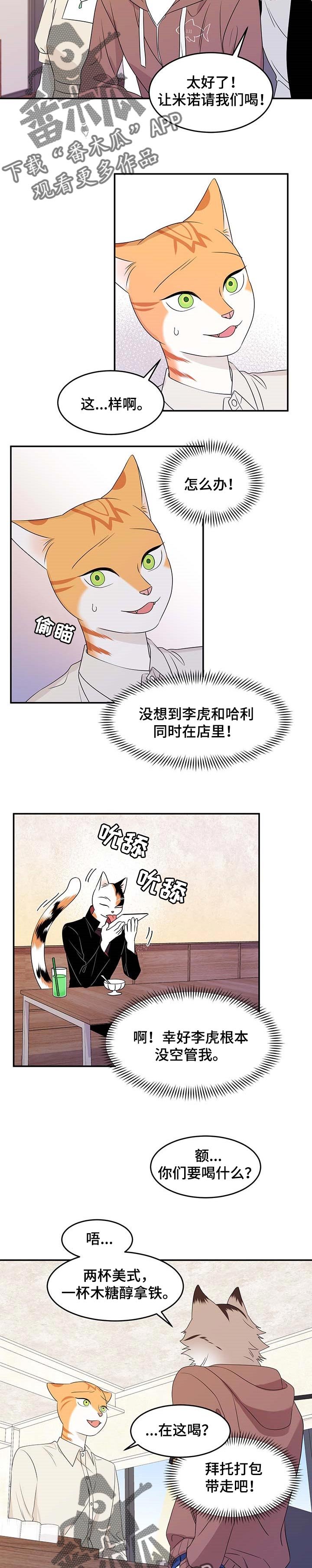 第22章：担心