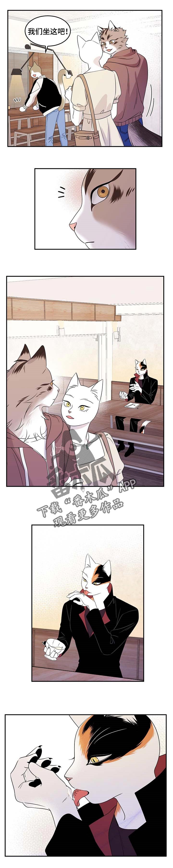 第22章：担心