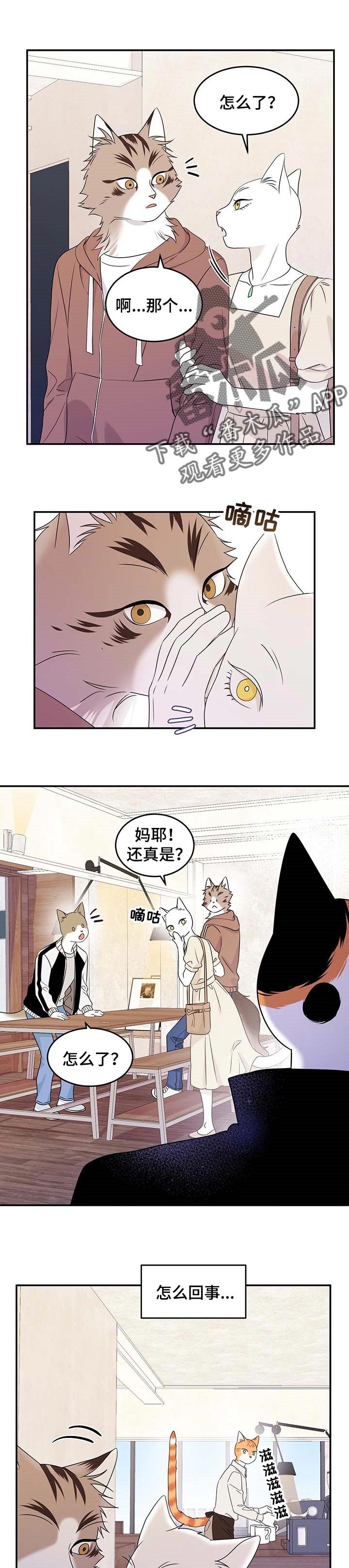 第22章：担心